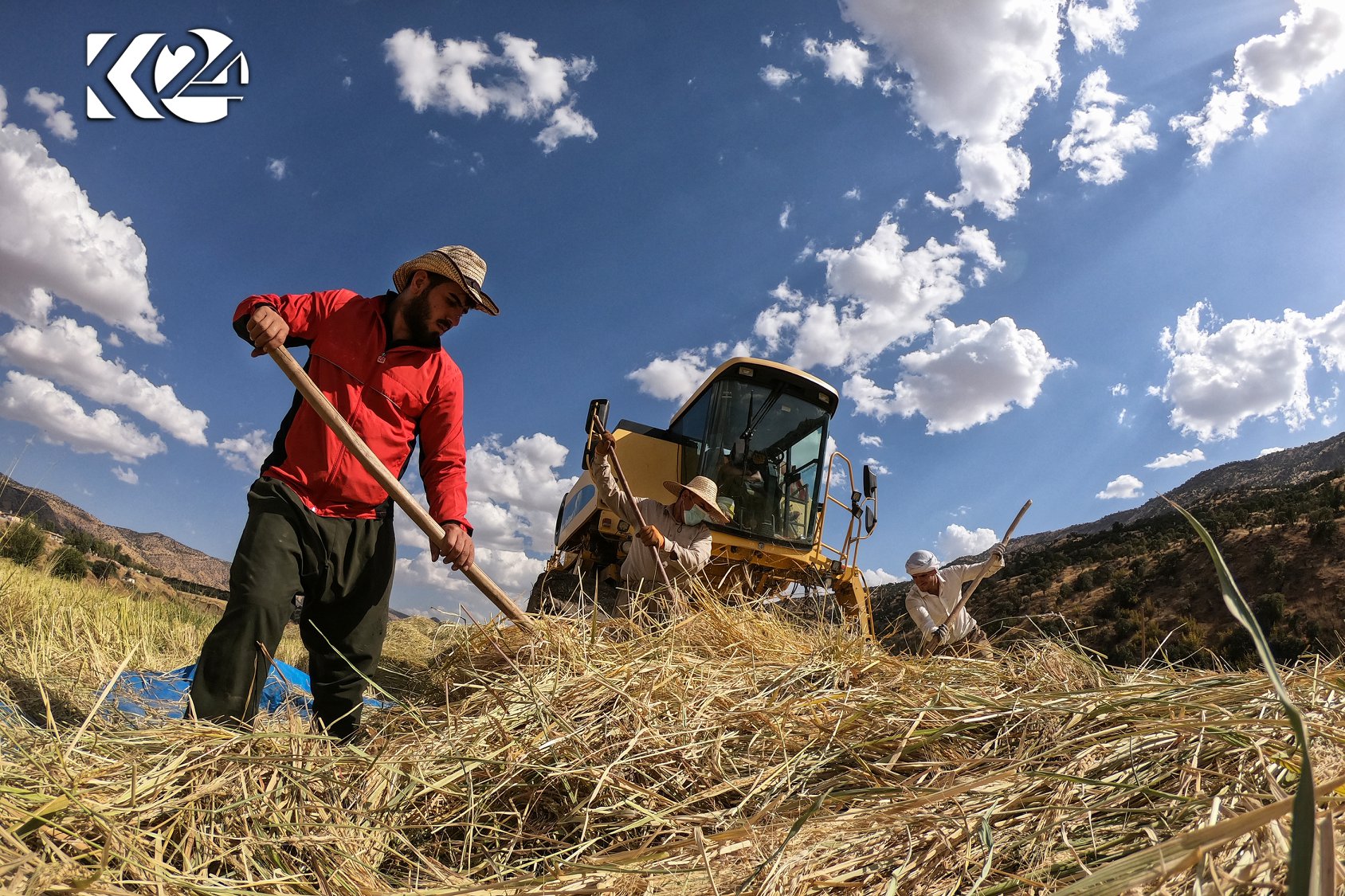 Berhemanîna birinca kurdî li parêzgeha Silêmaniyê zêde bûye